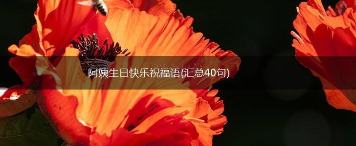 阿姨生日快乐祝福语(汇总40句),第1张