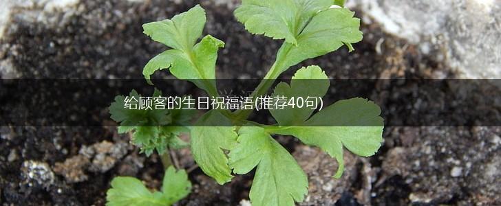 给顾客的生日祝福语(推荐40句),第1张