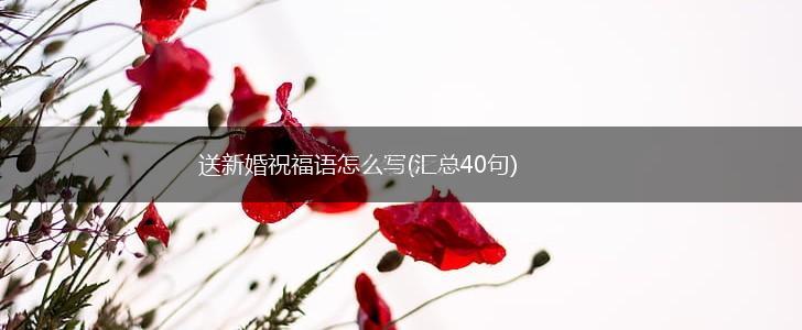 送新婚祝福语怎么写(汇总40句),第1张