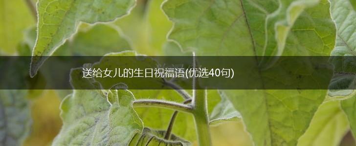 送给女儿的生日祝福语(优选40句),第1张