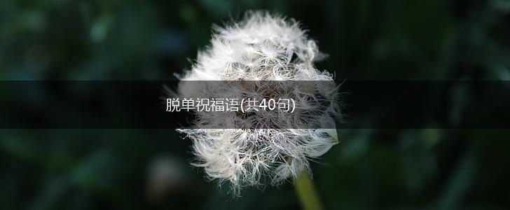 脱单祝福语(共40句),第1张