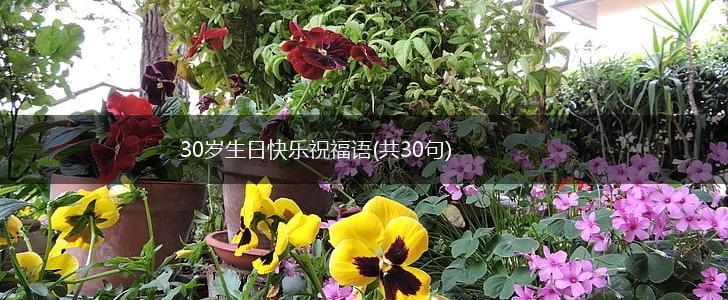 30岁生日快乐祝福语(共30句),第1张