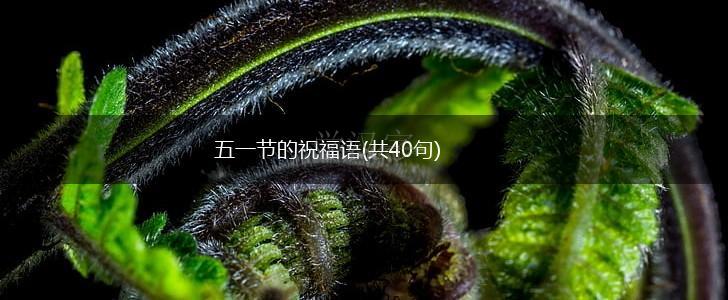 五一节的祝福语(共40句),第1张