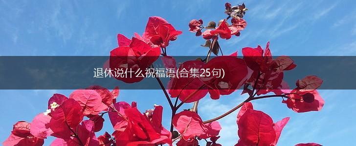 退休说什么祝福语(合集25句),第1张