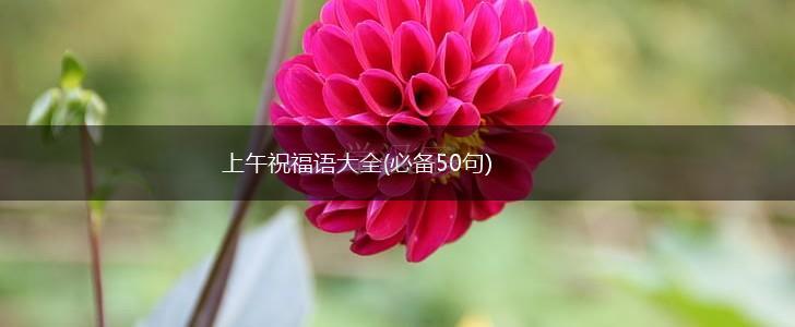 上午祝福语大全(必备50句),第1张