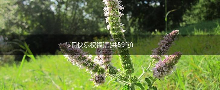 节日快乐祝福语(共59句),第1张