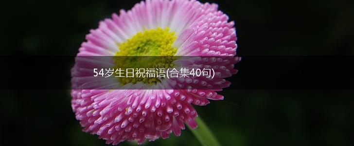 54岁生日祝福语(合集40句),第1张