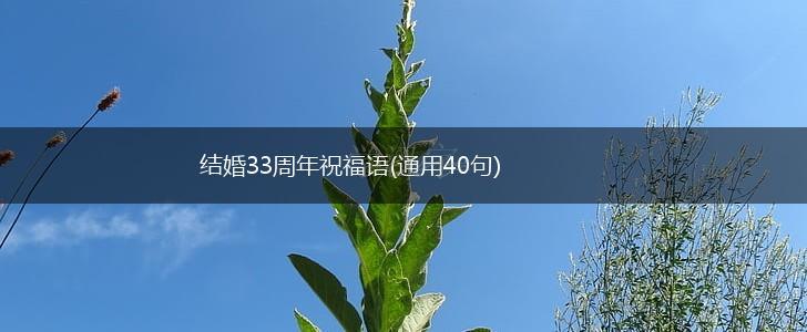 结婚33周年祝福语(通用40句),第1张