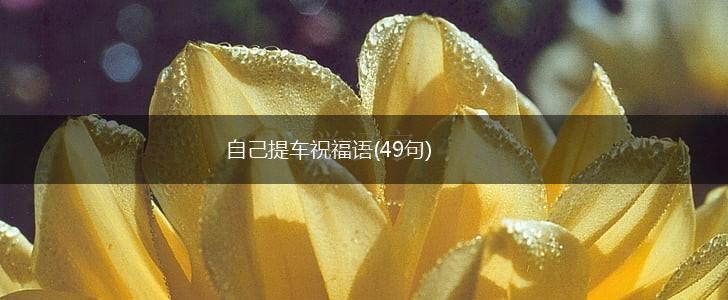 自己提车祝福语(49句),第1张