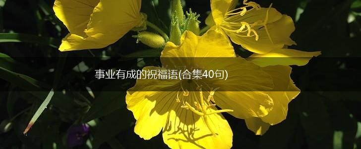 事业有成的祝福语(合集40句),第1张