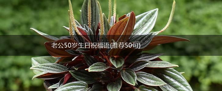 老公50岁生日祝福语(推荐50句),第1张