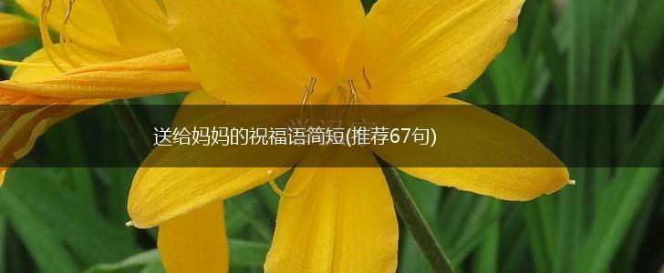 送给妈妈的祝福语简短(推荐67句),第1张