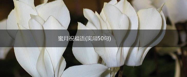 蜜月祝福语(实用50句),第1张