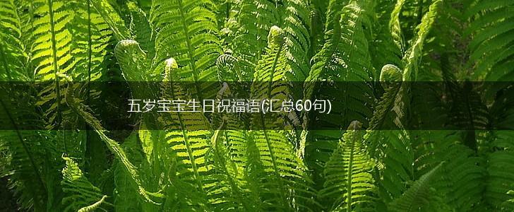 五岁宝宝生日祝福语(汇总60句),第1张