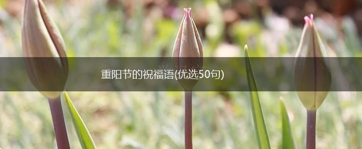 重阳节的祝福语(优选50句),第1张