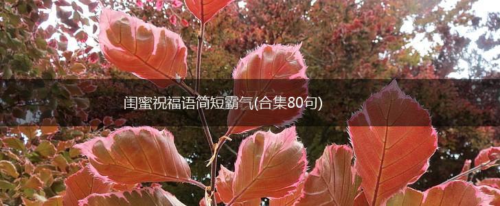 闺蜜祝福语简短霸气(合集80句),第1张