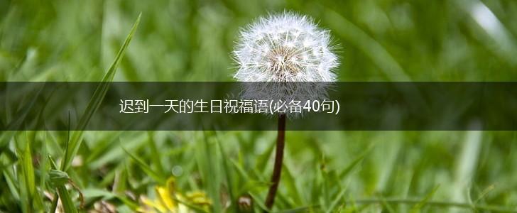 迟到一天的生日祝福语(必备40句),第1张