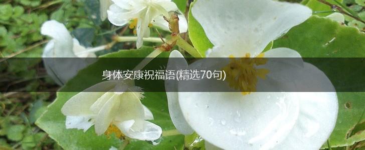 身体安康祝福语(精选70句),第1张