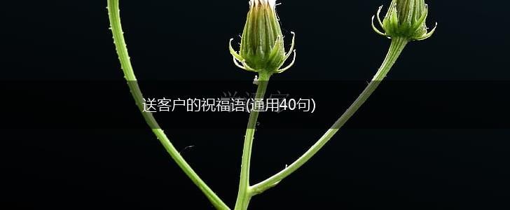 送客户的祝福语(通用40句),第1张