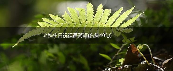 老妈生日祝福语简短(合集40句),第1张