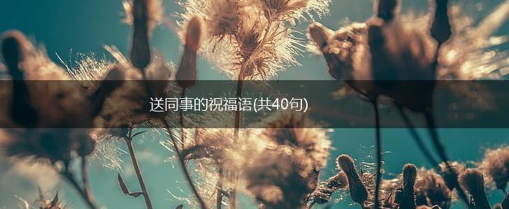 送同事的祝福语(共40句),第1张