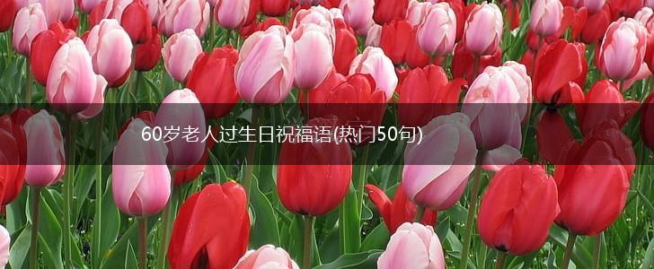 60岁老人过生日祝福语(热门50句),第1张