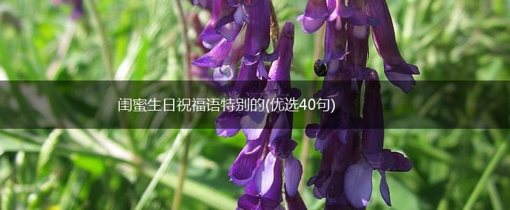 闺蜜生日祝福语特别的(优选40句),第1张