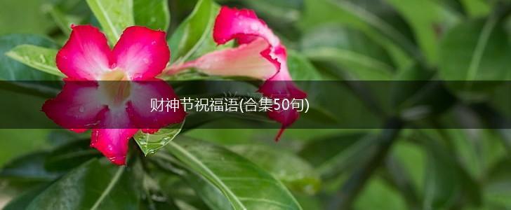 财神节祝福语(合集50句),第1张