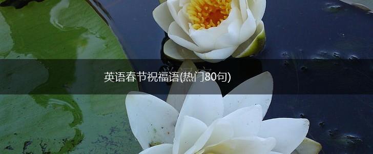 英语春节祝福语(热门80句),第1张