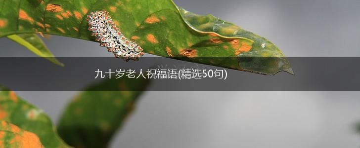 九十岁老人祝福语(精选50句),第1张