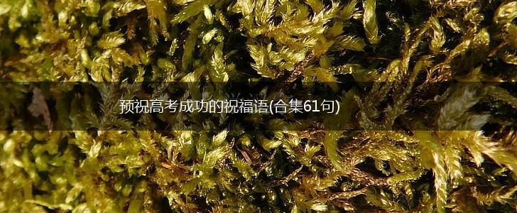 预祝高考成功的祝福语(合集61句),第1张