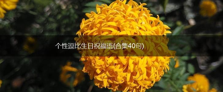 个性逗比生日祝福语(合集40句),第1张