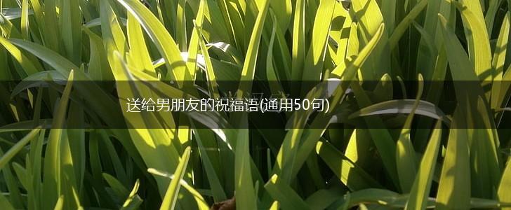 送给男朋友的祝福语(通用50句),第1张