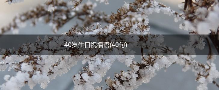 40岁生日祝福语(40句),第1张