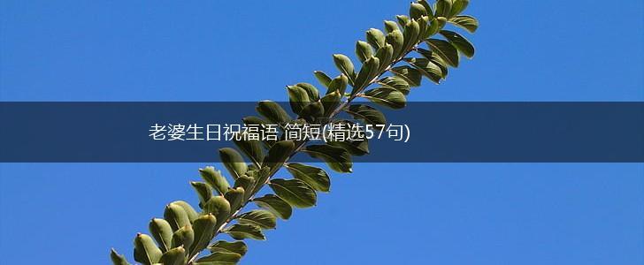 老婆生日祝福语 简短(精选57句),第1张