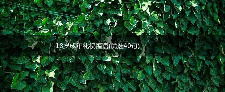 18岁成年礼祝福语(优选40句),第1张