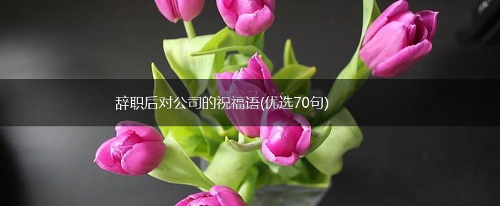 辞职后对公司的祝福语(优选70句),第1张