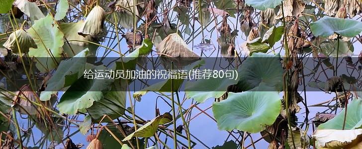 给运动员加油的祝福语(推荐80句),第1张