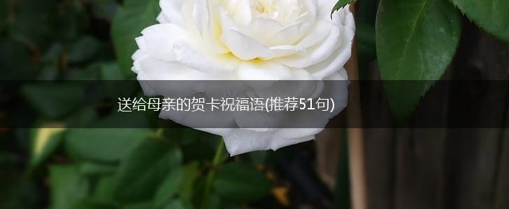 送给母亲的贺卡祝福语(推荐51句),第1张