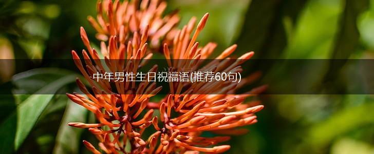 中年男性生日祝福语(推荐60句),第1张