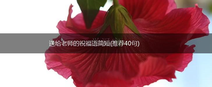 送给老师的祝福语简短(推荐40句),第1张