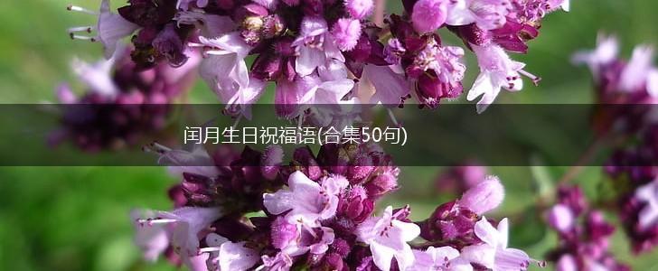 闰月生日祝福语(合集50句),第1张