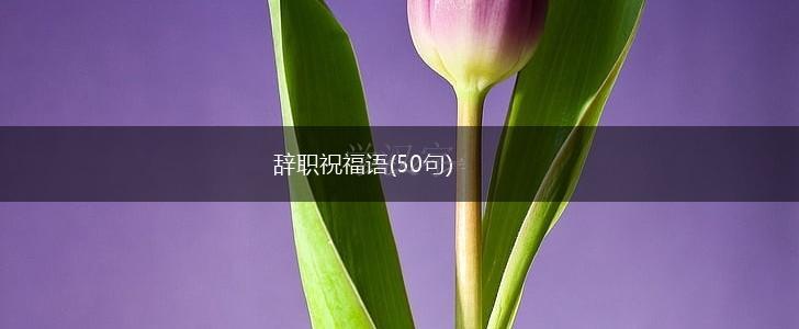 辞职祝福语(50句),第1张