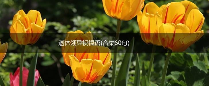 退休领导祝福语(合集60句),第1张