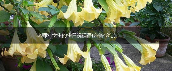 老师对学生的生日祝福语(必备48句),第1张