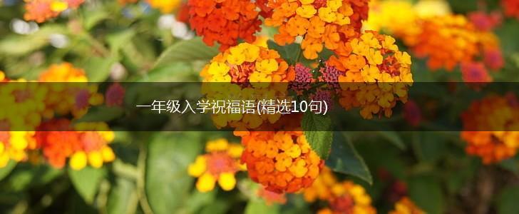 一年级入学祝福语(精选10句),第1张