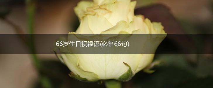 66岁生日祝福语(必备66句),第1张