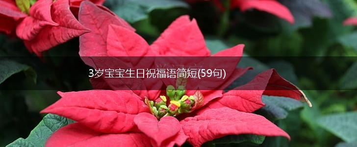 3岁宝宝生日祝福语简短(59句),第1张