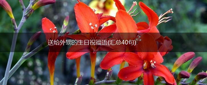 送给外甥的生日祝福语(汇总40句),第1张