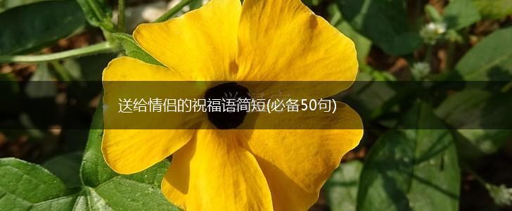 送给情侣的祝福语简短(必备50句),第1张